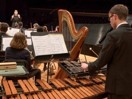 An orchestra dressed in performance attire playing music