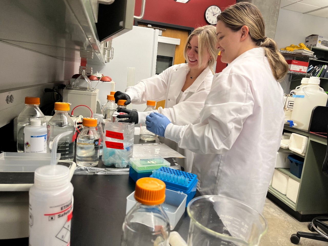 NKU Biological Sciences students conducting summer research in the lab