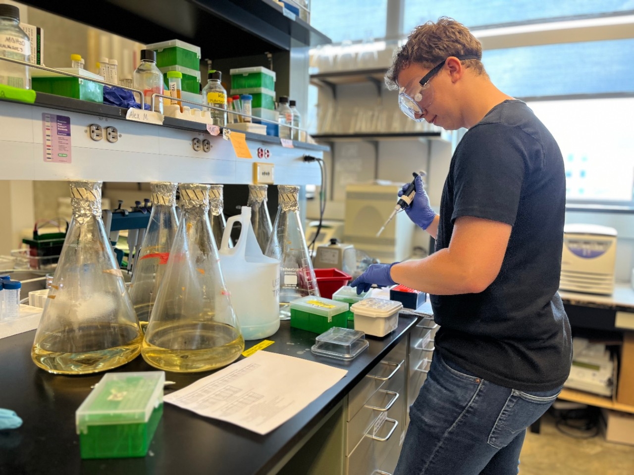 NKU Chemistry student conducting summer research in the lab