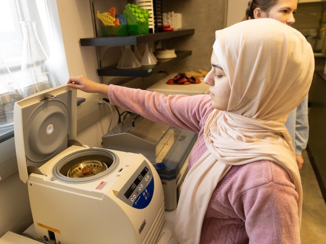 NKU Biological Sciences student conducting researh in the lab.