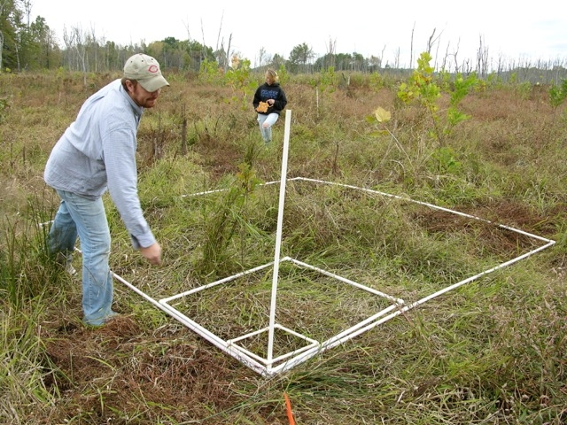 Bartley with field measurements