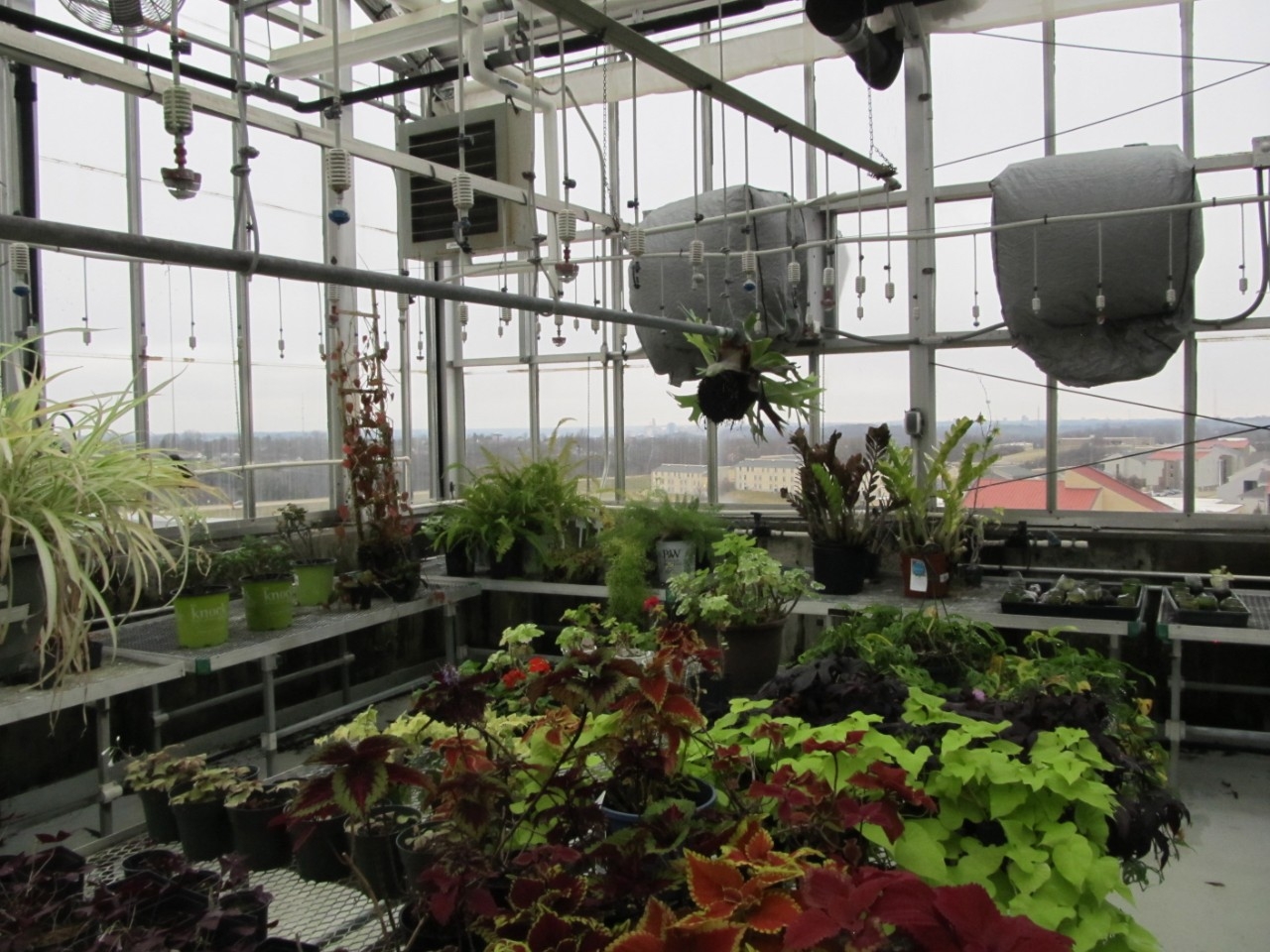 Science Center Greenhouse