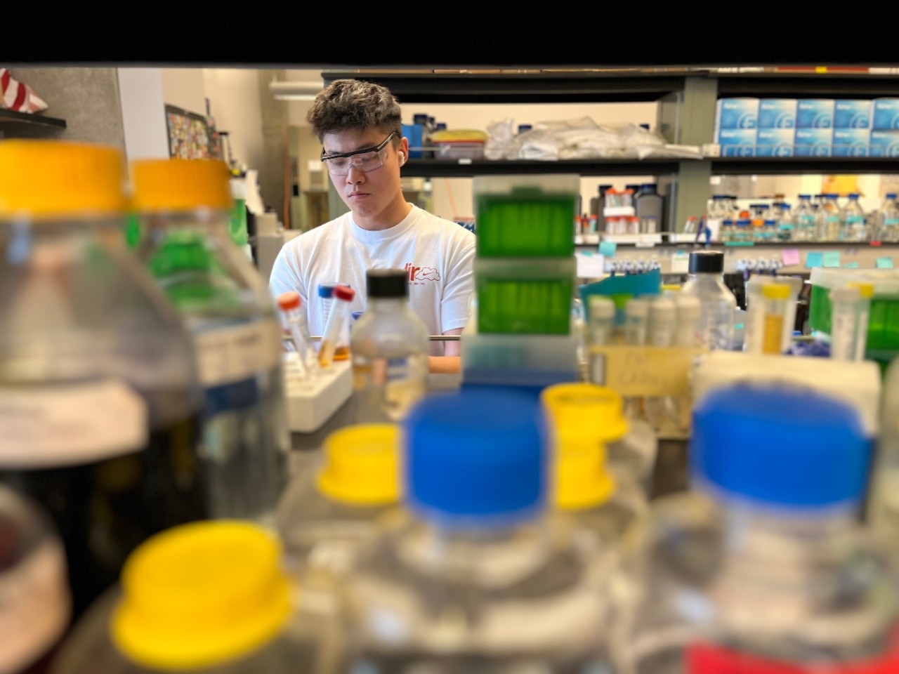 Lab student looking at table filled with samples