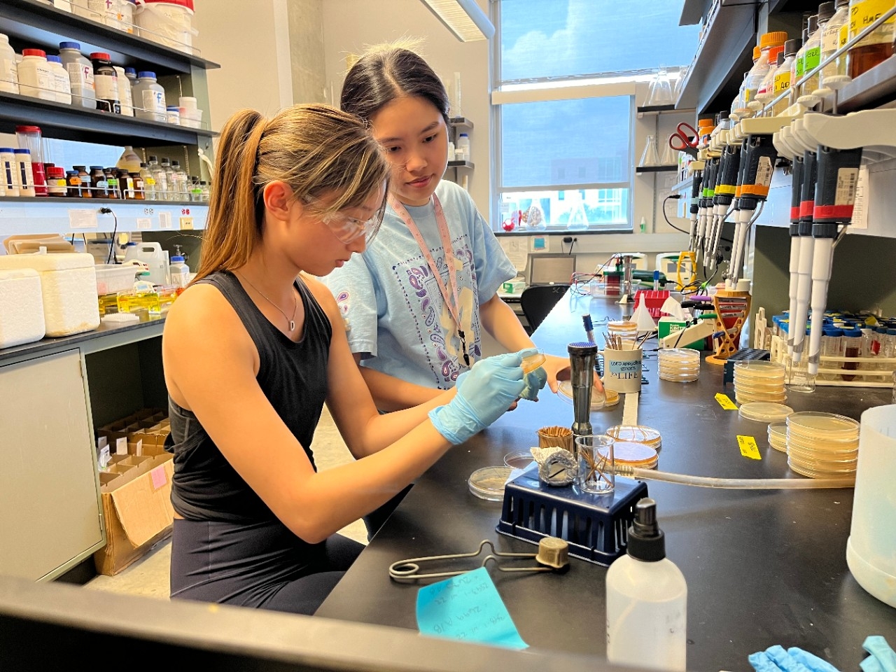 NKU Chemistry and Biochemistry majors doing summer research in the lab.