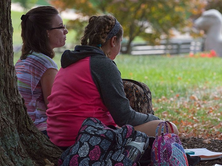 Two students sitting under tree