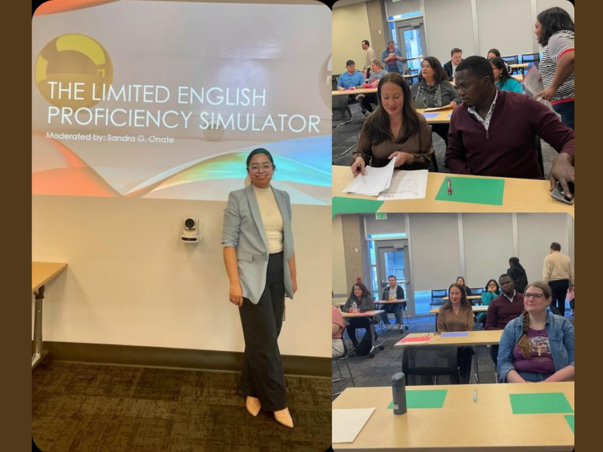 Collage of images from the simulator