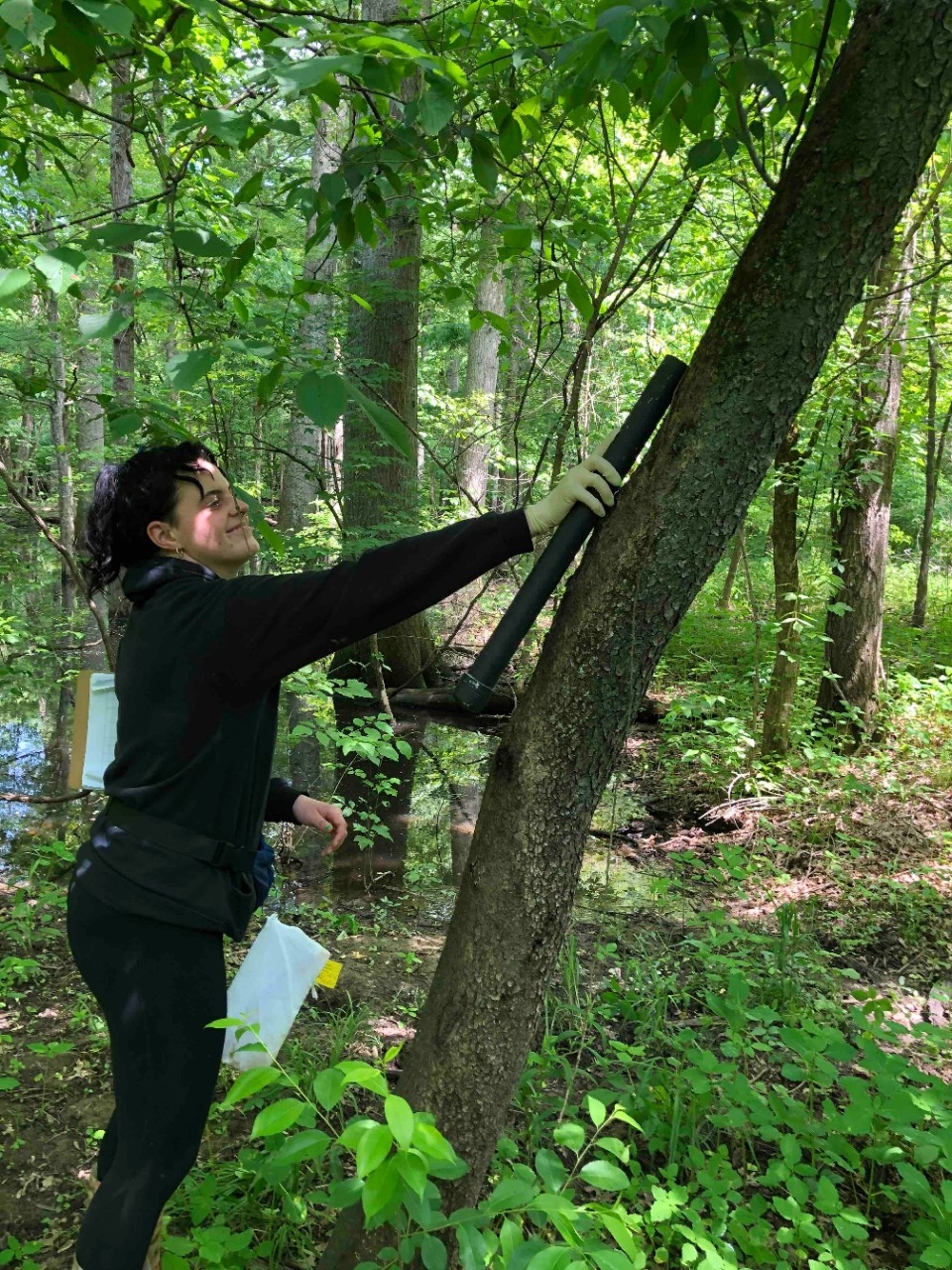 Student working outdoors