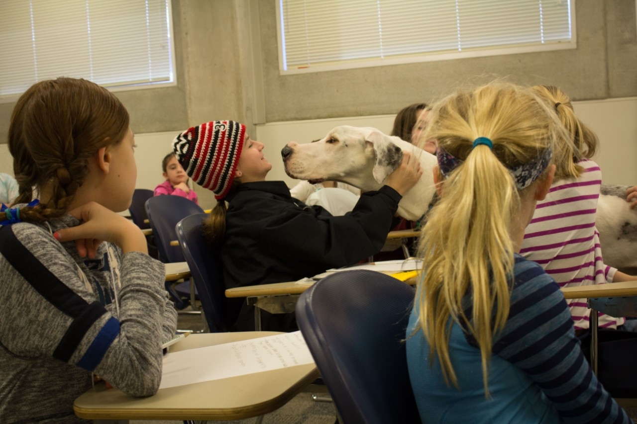 Camp Innovation Students Explore the Field of Veterinary Science