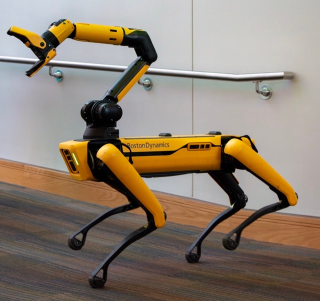 Spot the Robot Dog