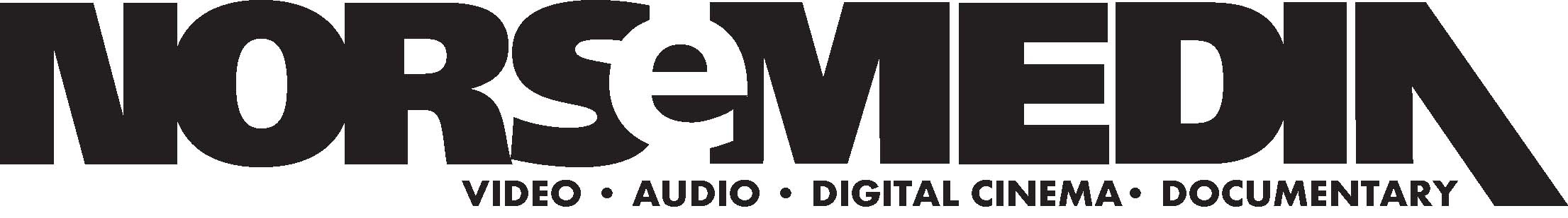 NorseMedia logo