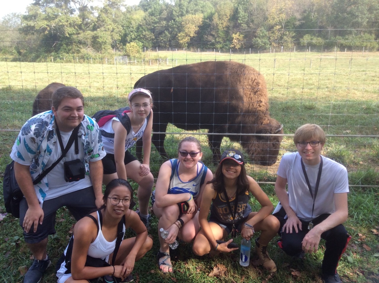 Buffalo