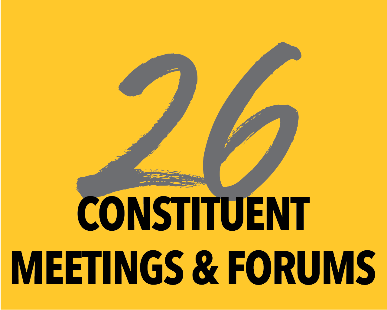 26 Constituent Meetings and Forums