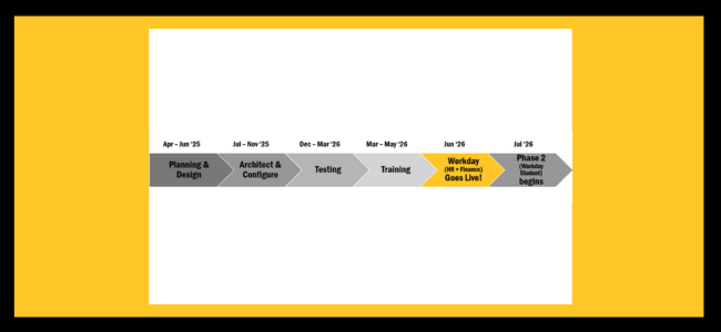 Project Timeline